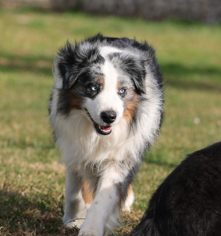 Sunny i love you De La Folle Emprise