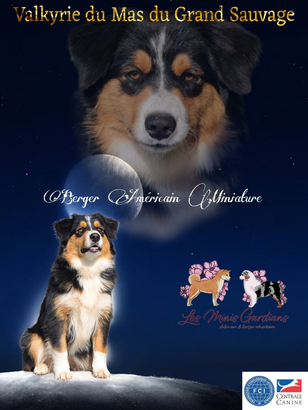 Valkyrie du mas du grand sauvage