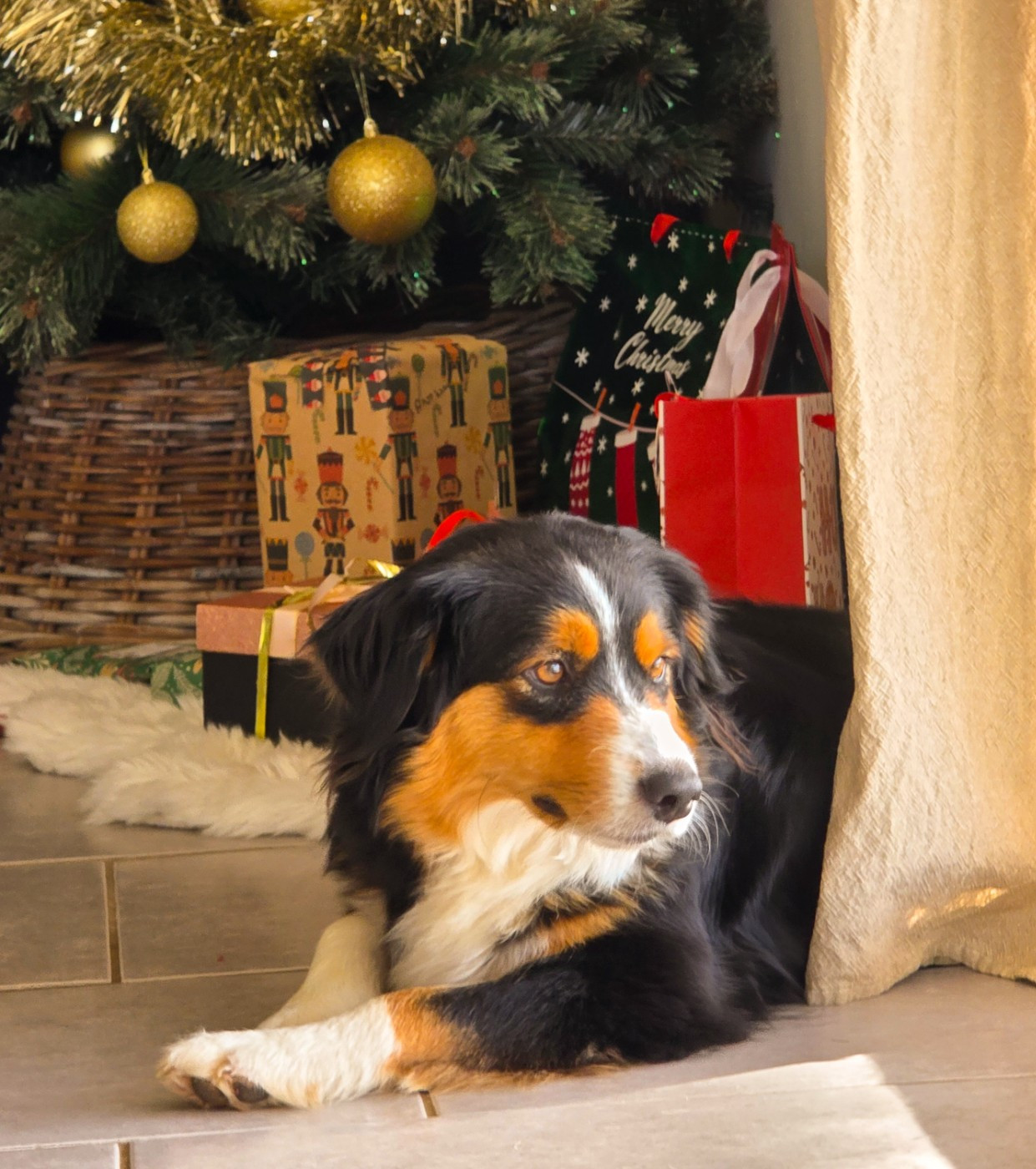 Valkyrie du mas du grand sauvage