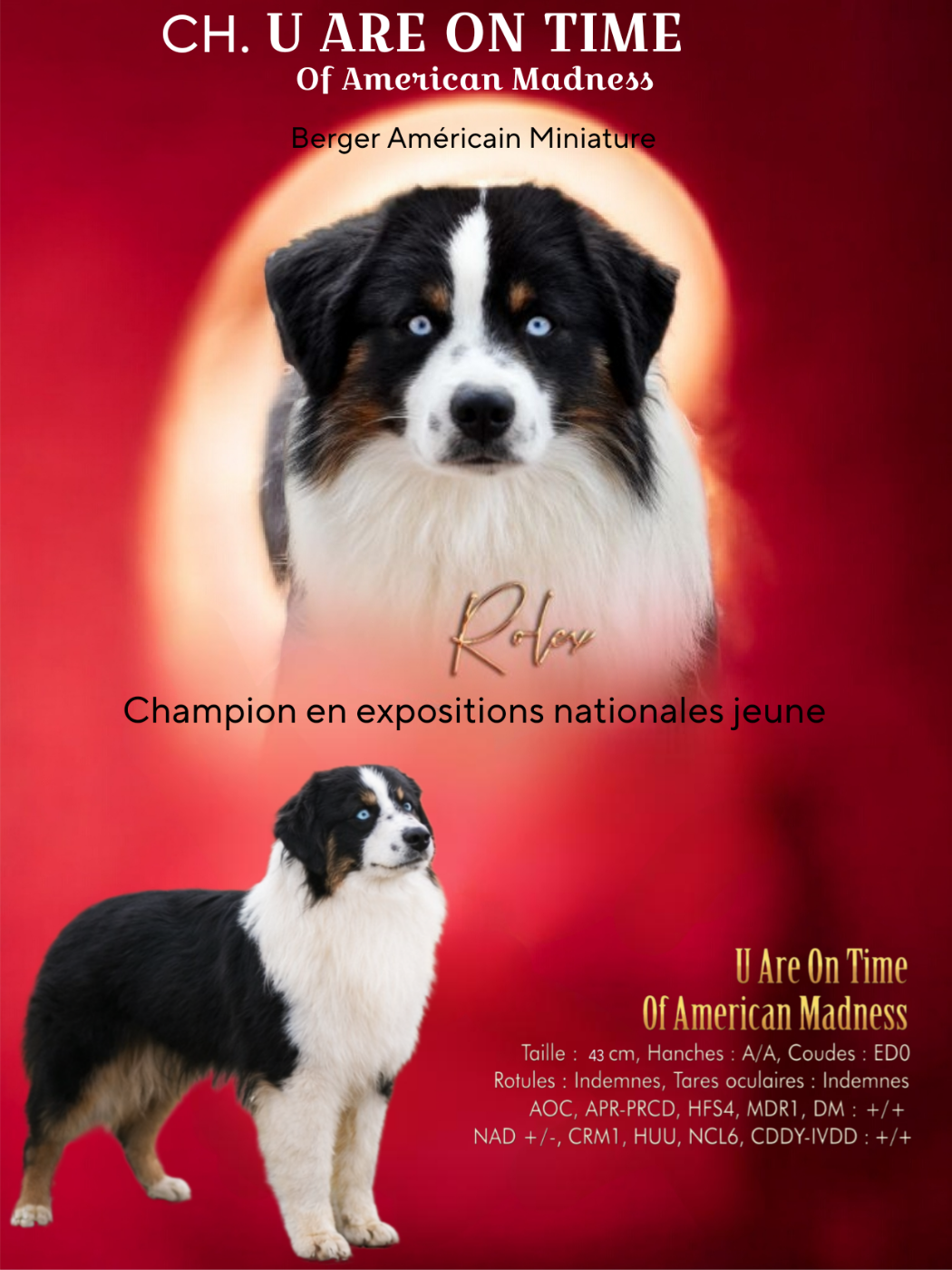 CH. U ARE ON TIME Of American Madness